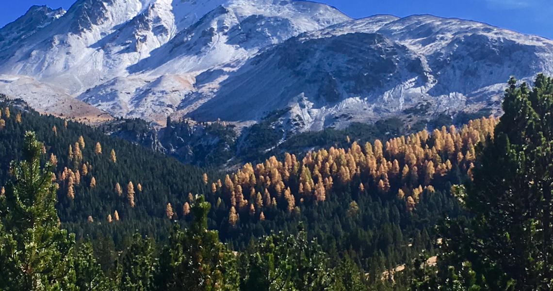 Indian Summer Switzerland - Foto: Rolf von Ballmoos